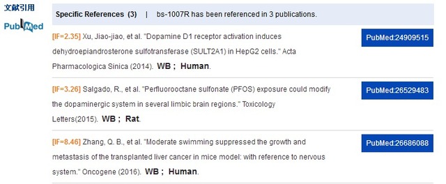 Dopamine Receptor D1多巴胺受体D1抗体