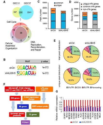 产品细节图片11