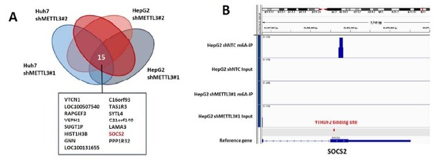 产品细节图片13