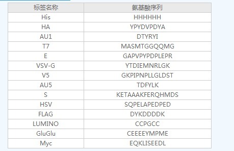 重组16标签蛋白，Recombinant 16-Tag Pr