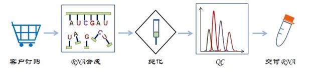 苏木素伊红(HE)染色试剂盒