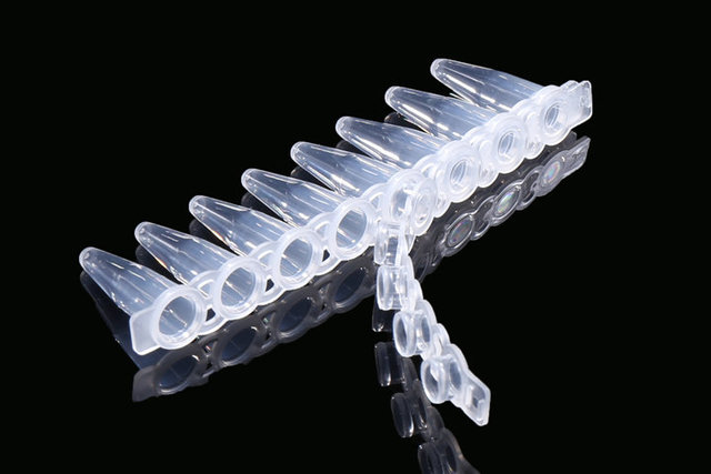 NEST PCR八联管盖，凸盖（406112）