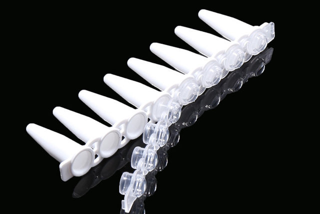 NEST PCR八联管盖，凸盖（406112）