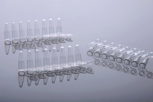 NEST 0.2mL带盖PCR八联管（编号：404001）