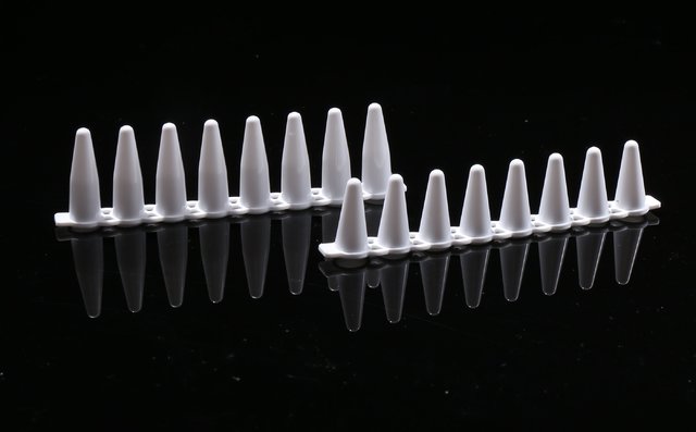 NEST 0.2mL 白色PCR 8联管（403012）