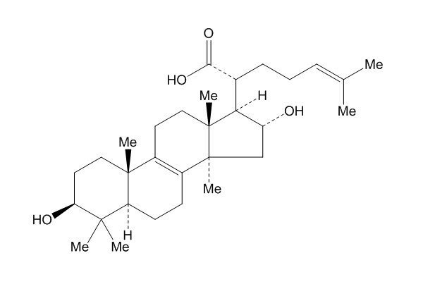 16α-Hydroxytrametenolic acid（1