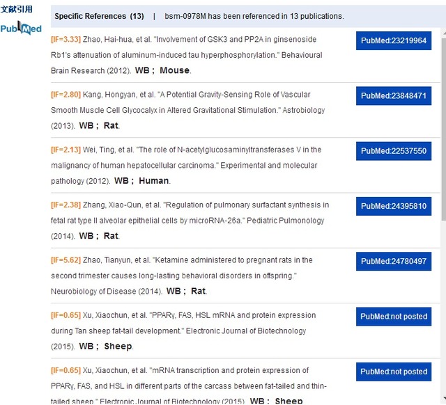 GAPDH-Loading Control3-磷酸甘油醛脱氢