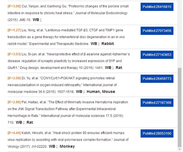 GAPDH-Loading Control3-磷酸甘油醛脱氢