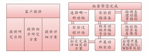 动物模型/动物建模技术服务