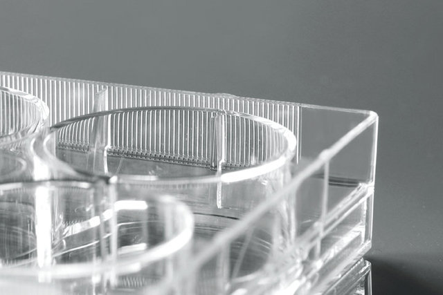 NEST 6孔细胞培养板 TC 703002