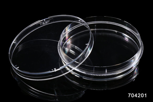 NEST 150mm细胞培养皿 TC 715001