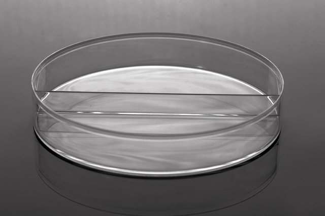 90mm 四格细菌培养皿(752031)