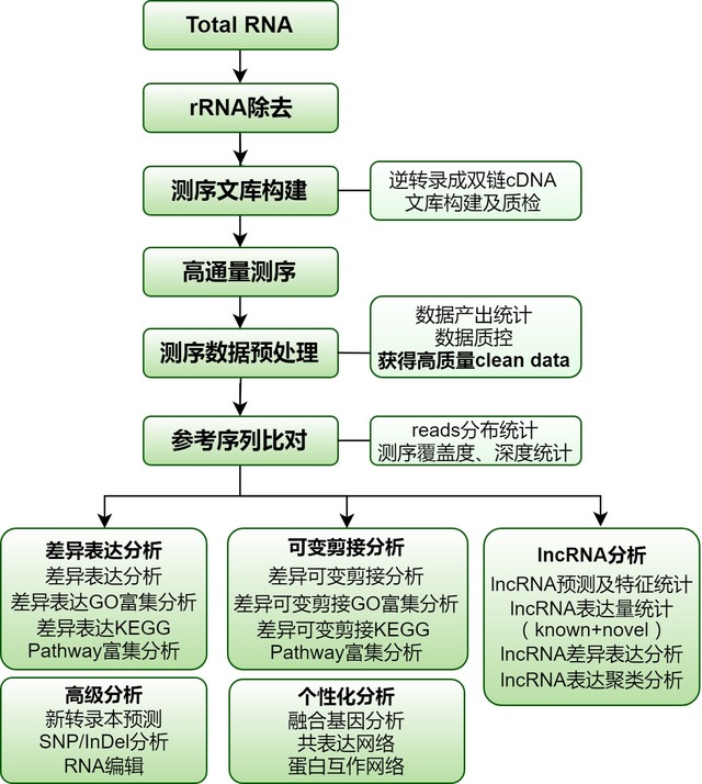 产品细节图片1