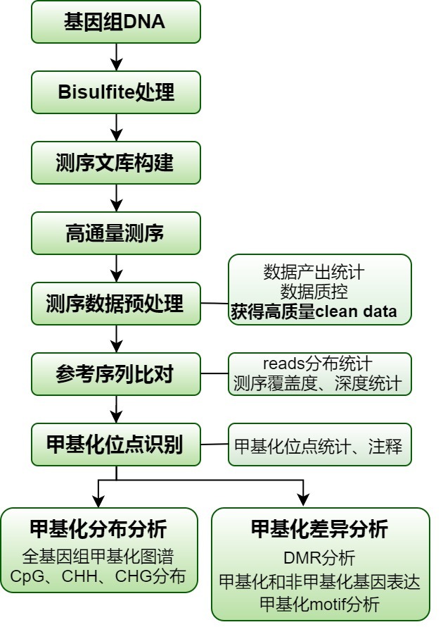 产品细节图片2