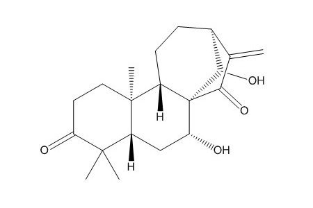 蓝萼甲素（79498-31-0）