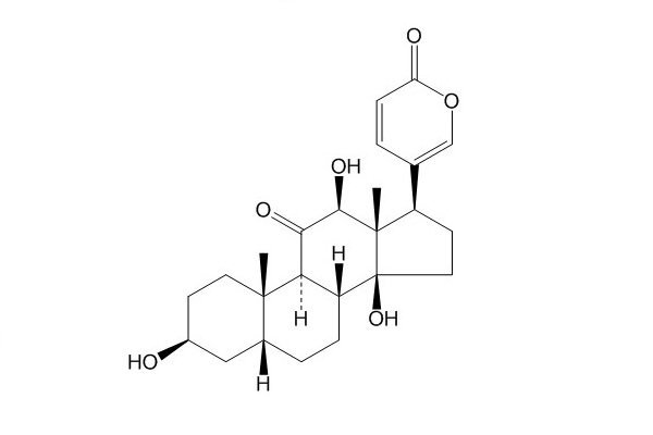 异沙蟾毒精(17008-65-0)